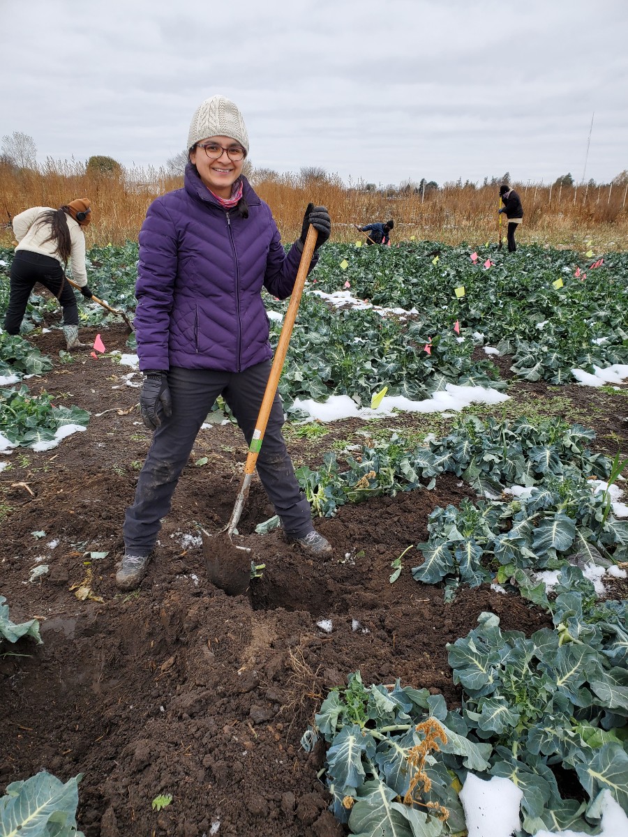 Gabriela standing in a field of broccoli, smiling and holding a shovel. She is wearing a purple coat and a winter hat and her field pants and shoes are muddied from hard work
